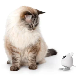 PIXI Smart Mouse Camera