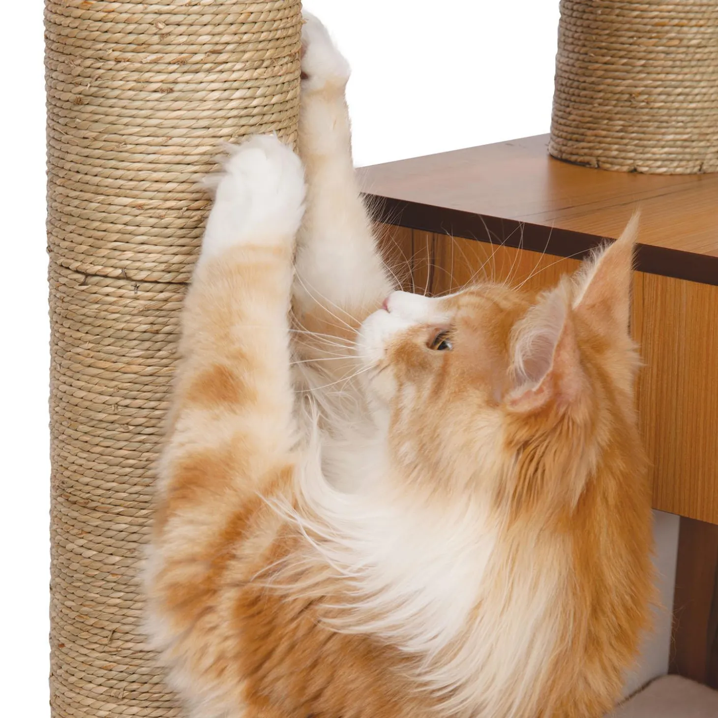 PIXI Vesper High Base Giant Walnut Cat Tree