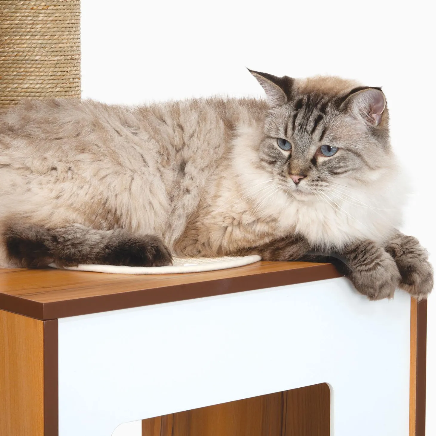 PIXI Vesper High Base Giant Walnut Cat Tree