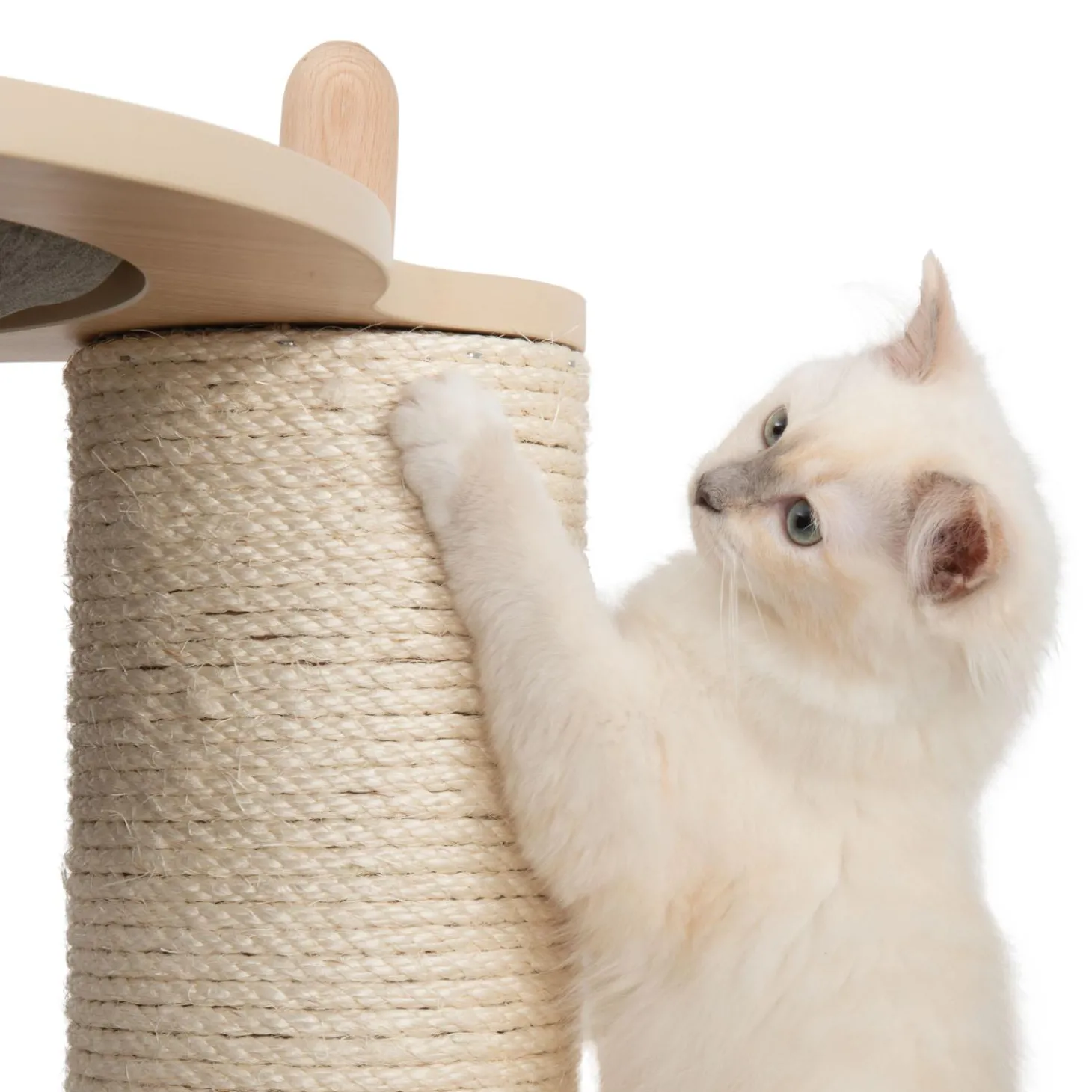 PIXI Vesper Treehouse