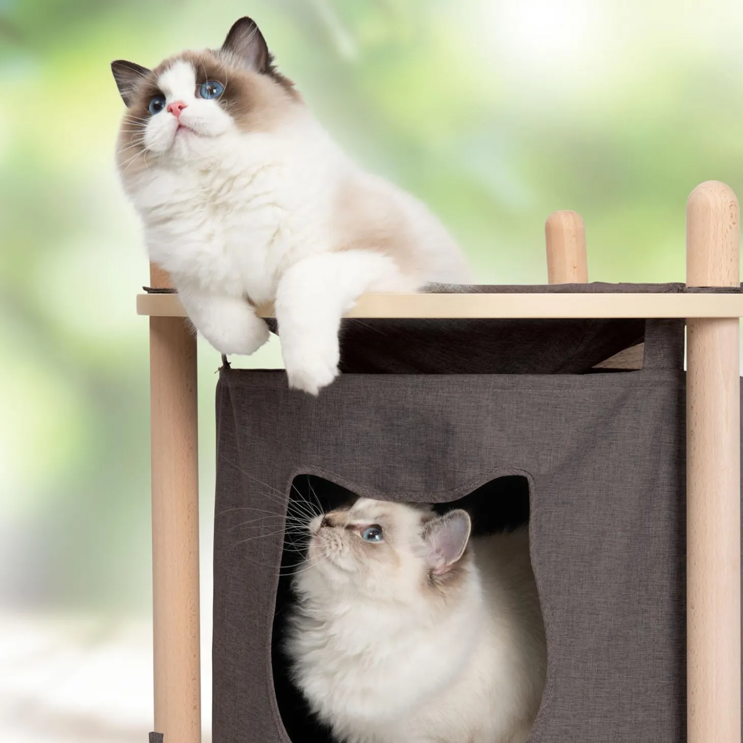 PIXI Vesper Treehouse