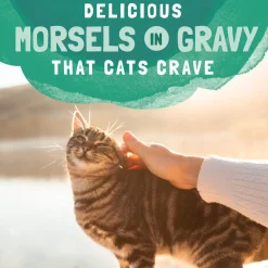 Platefulls Chicken & Pumpkin Recipe Adult Cat Food