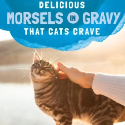 Platefulls Mackerel & Sardine Recipe Adult Cat Food