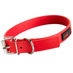 Play 1in Red Dog Collar