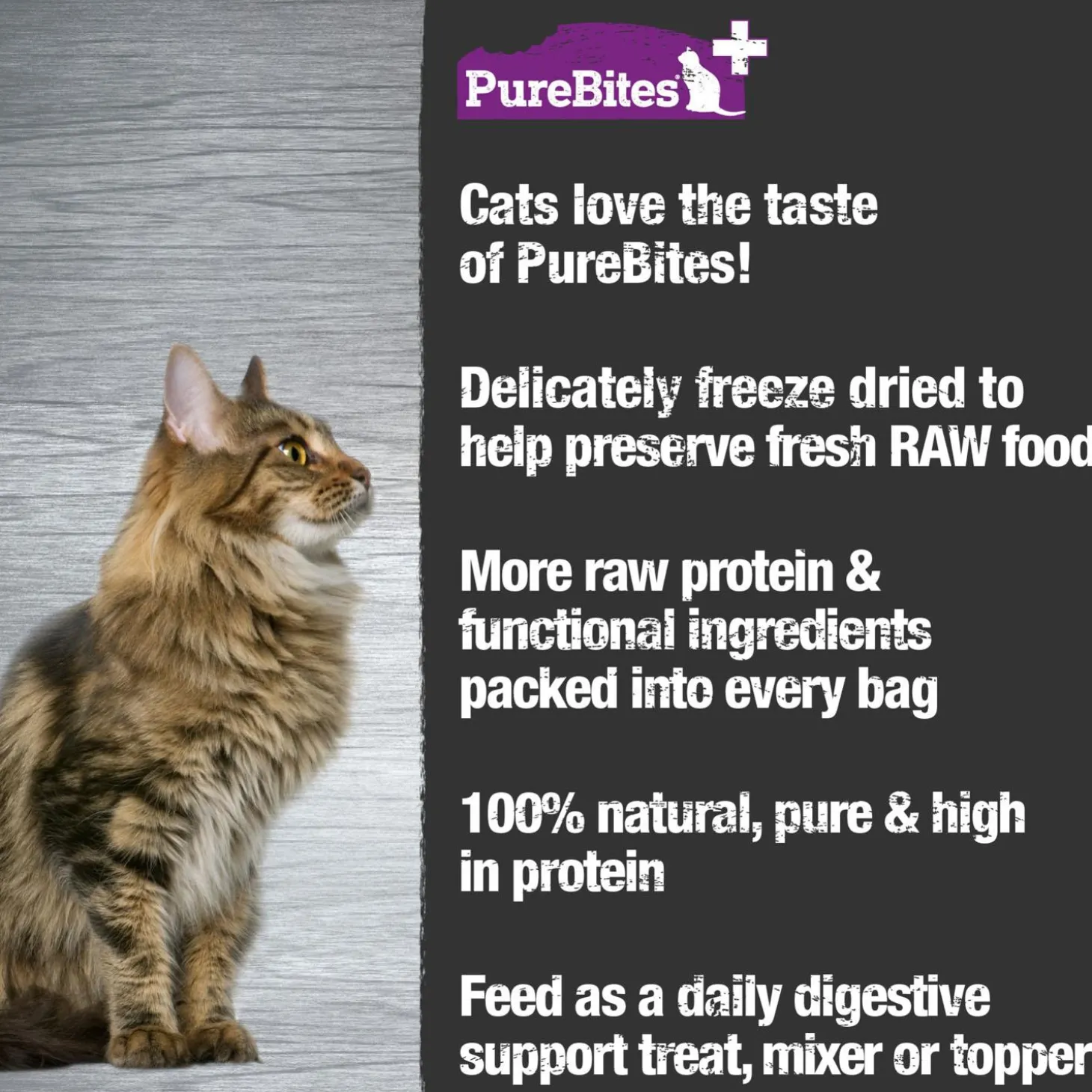 Plus Gut & Digestion Cat Treats