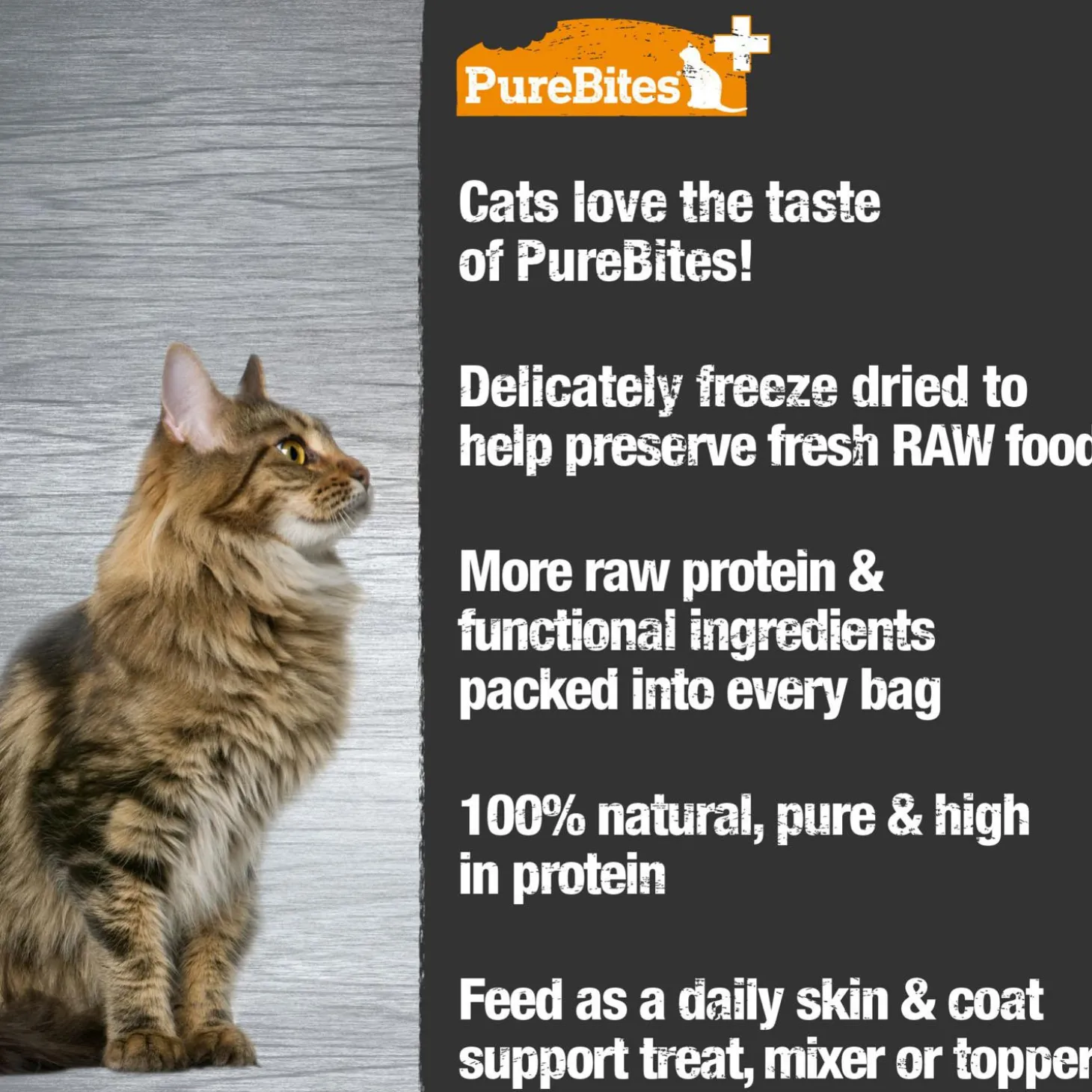 Plus Skin & Coat Cat Treats