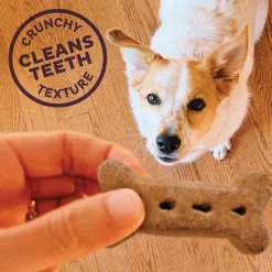 P-Nuttier Large Dog Treats