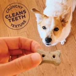 P-Nuttier Mini Dog Treats