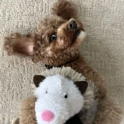 Possum Rope Body Dog Toy