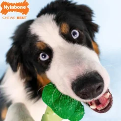 Power Chew Bacon & Cheese Flavour Broccoli Dog Toy