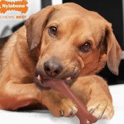 Power Chew Bacon & Chicken Flavour 2 Pack Dog Toys