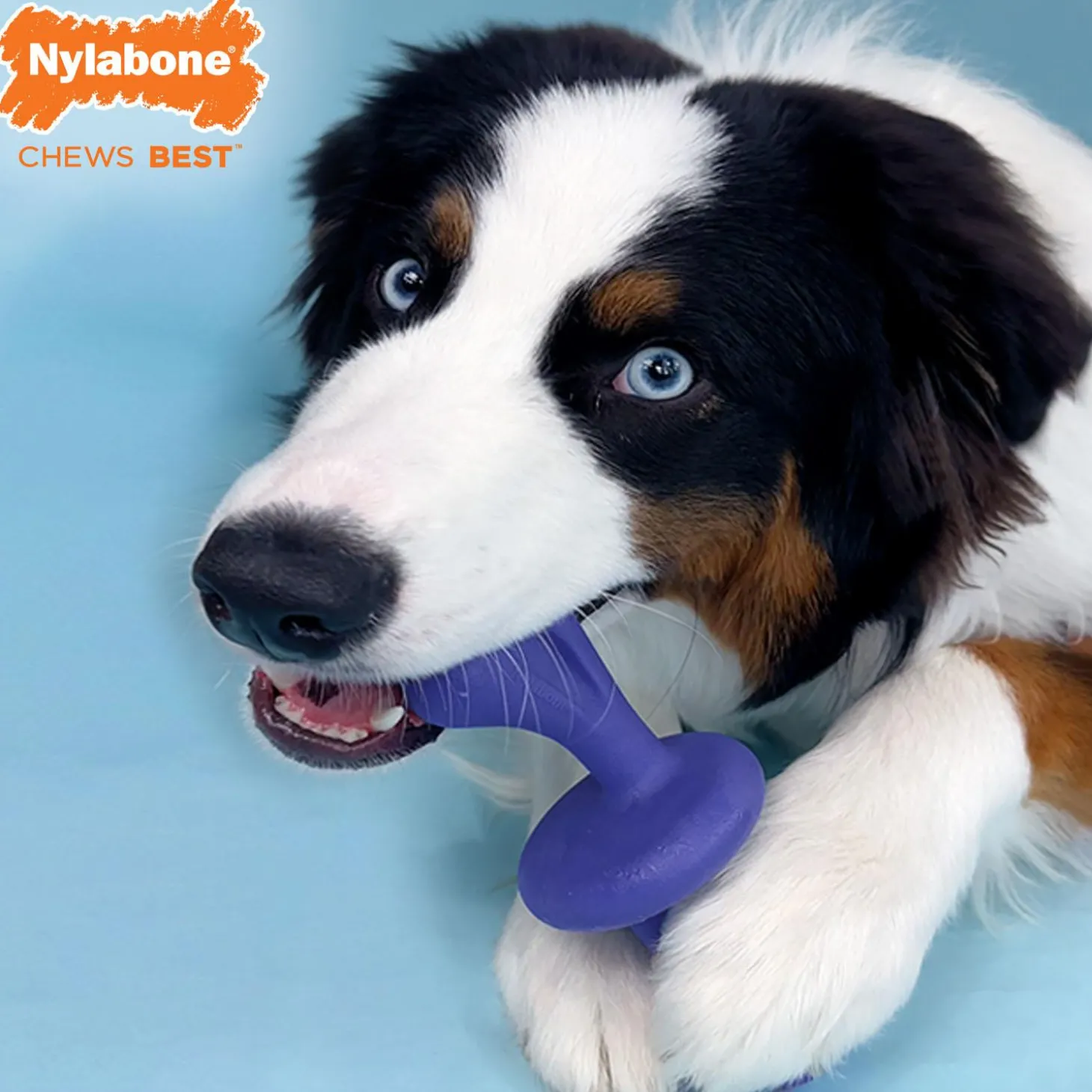 Power Chew Bacon Flavour Rolling Dog Toy