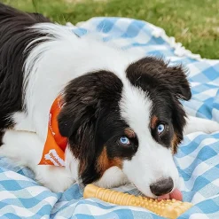 Power Chew Peanut Butter Flavour Bone Dog Toy