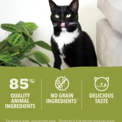 Premium Pate Beef Recipe Adult Cat Food