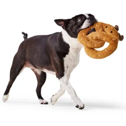 Pretzel Dog Toy