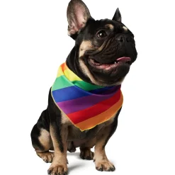 Pride Bandana