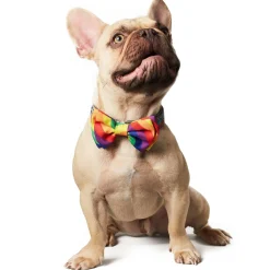 Pride Bowtie