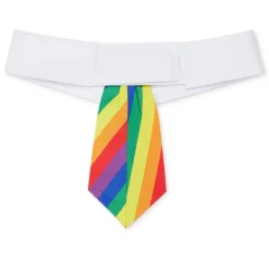 Pride Collar Tie