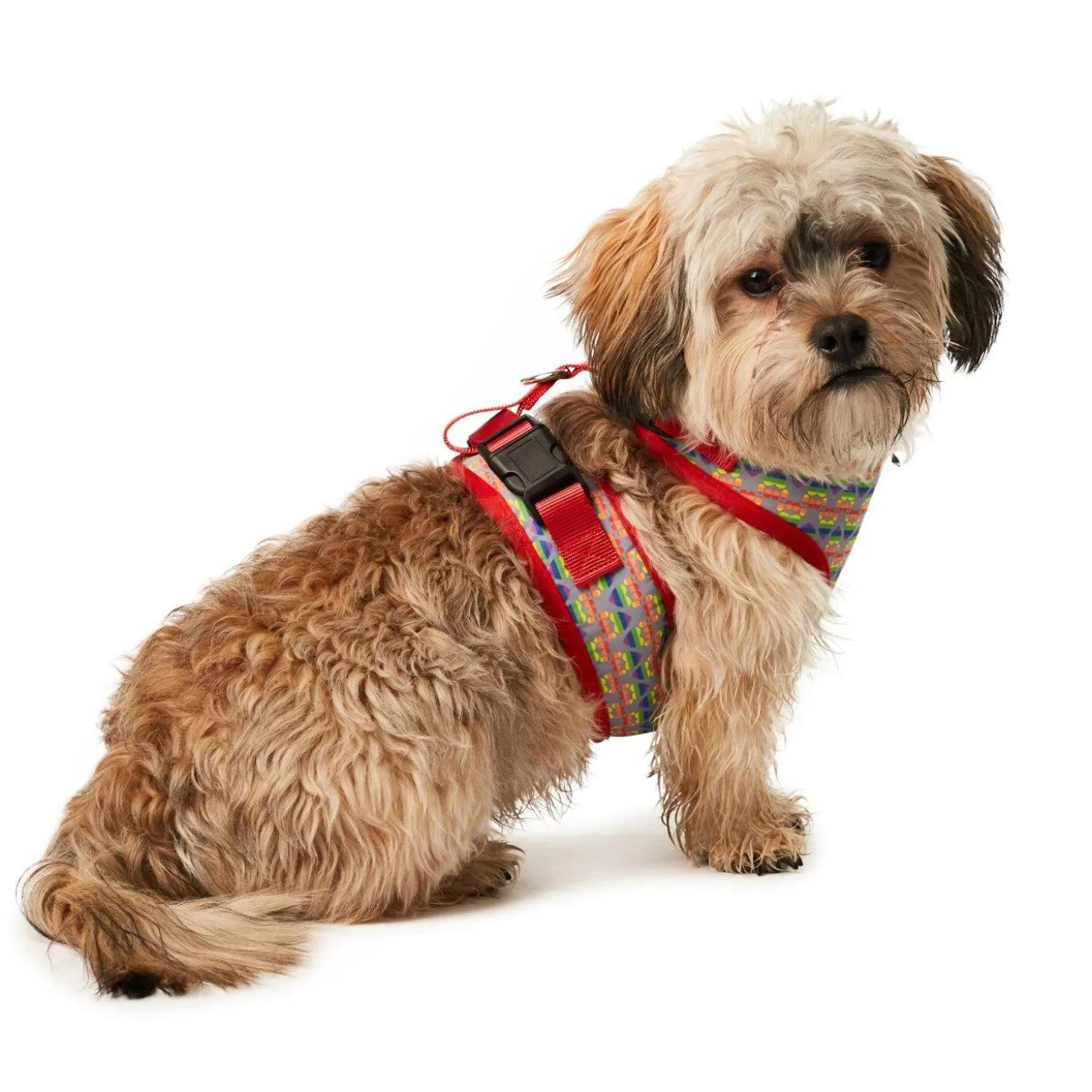 Pride Harness Rainbow