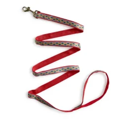 Pride Leash 5/8in Rainbow