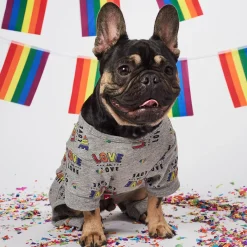 Pride Pajamas