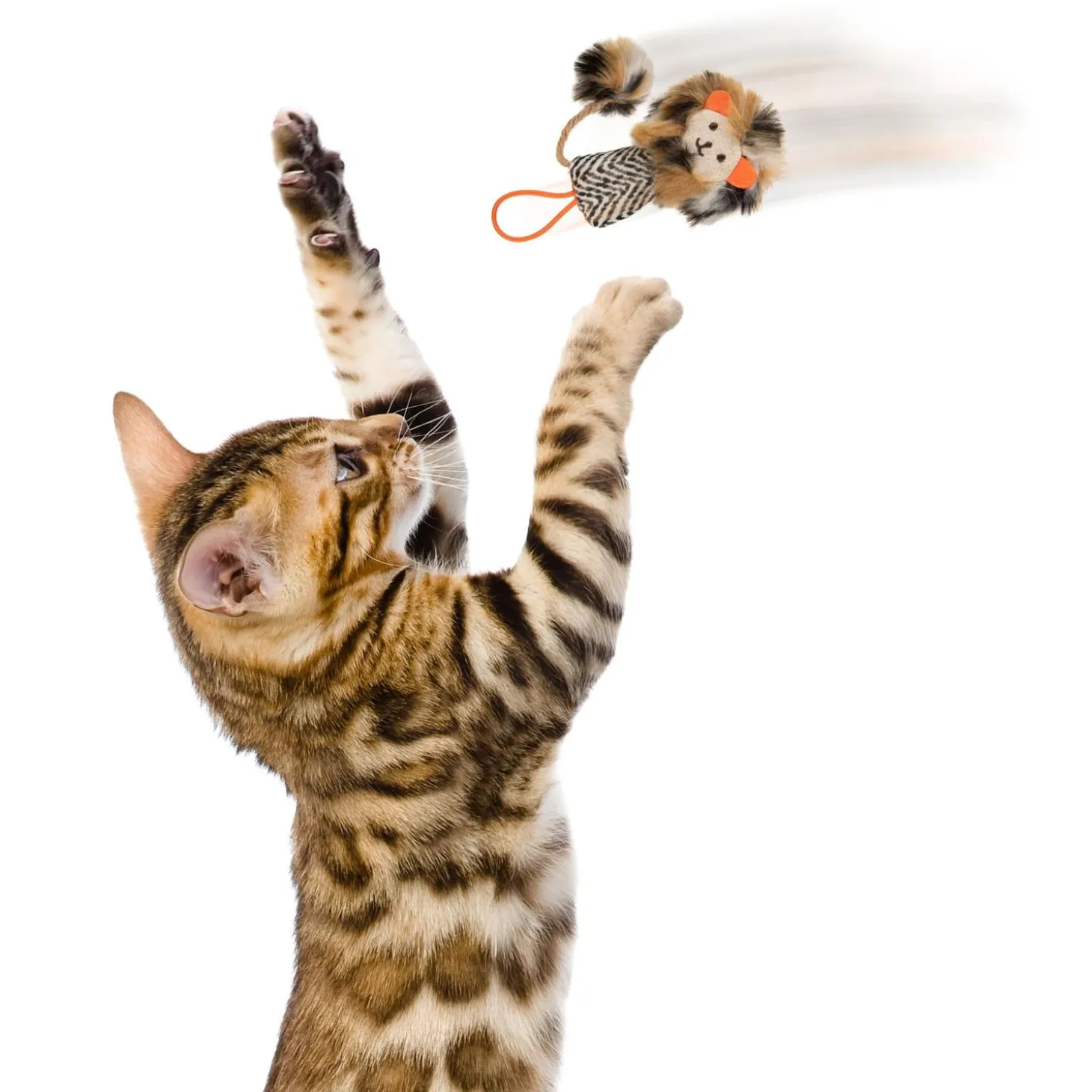 Prideful Player Cat Toy