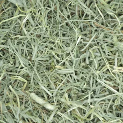 Prime Cut Soft & Lush Timothy Hay