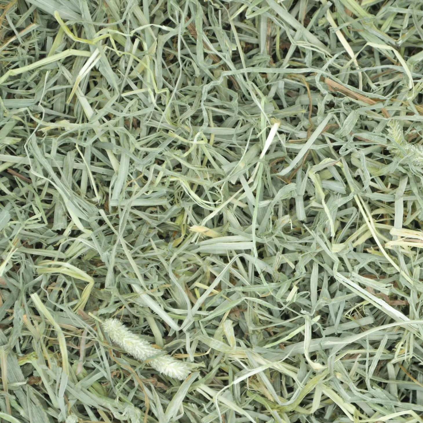Prime Cut Soft & Lush Timothy Hay