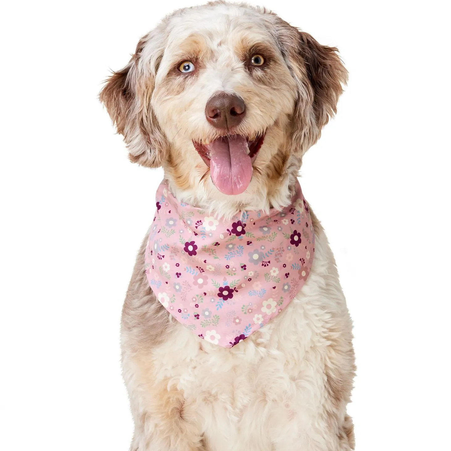 Princess Floral Pink Bandana