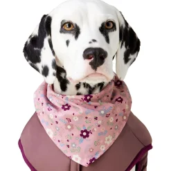 Princess Floral Pink Bandana