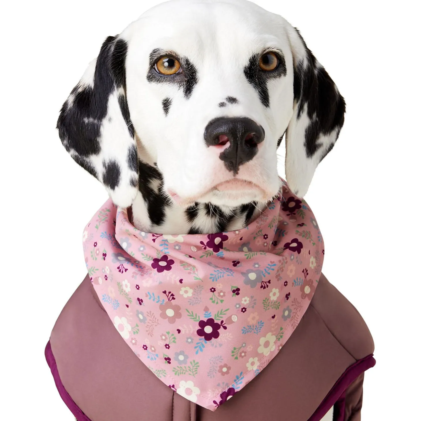 Princess Floral Pink Bandana