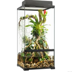 Pro Paludarium Extra Tall
