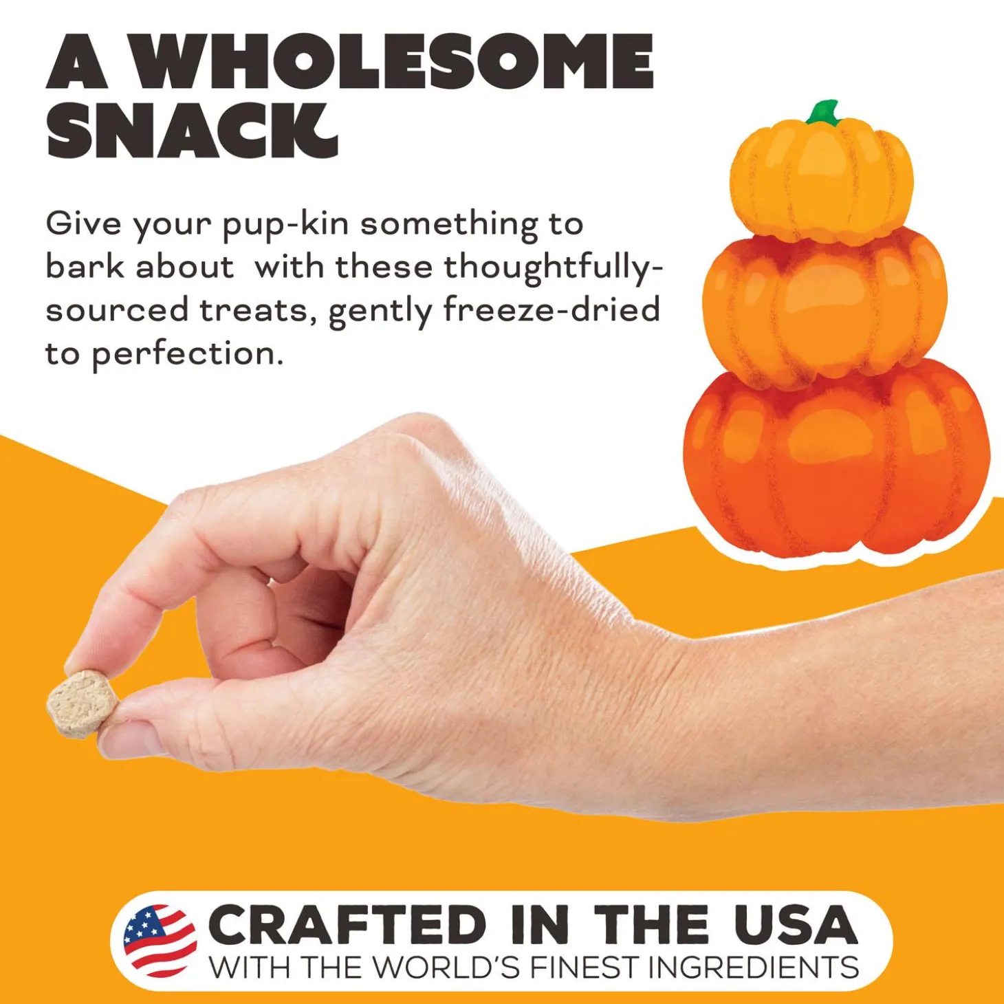 Pumpkin For My Pumpkin! Chicken, Pumpkin & Goat Milk Dog Treats