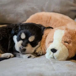 Puppy Calming Heartbeat Dog Toy