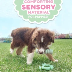 Puppy Chew Chicken Flavour Teething Tactile Ring Dog Toy