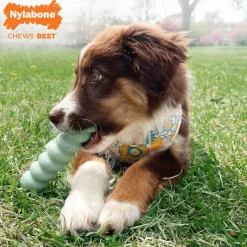 Puppy Chew Peanut Butter Flavour Teething Dog Toy