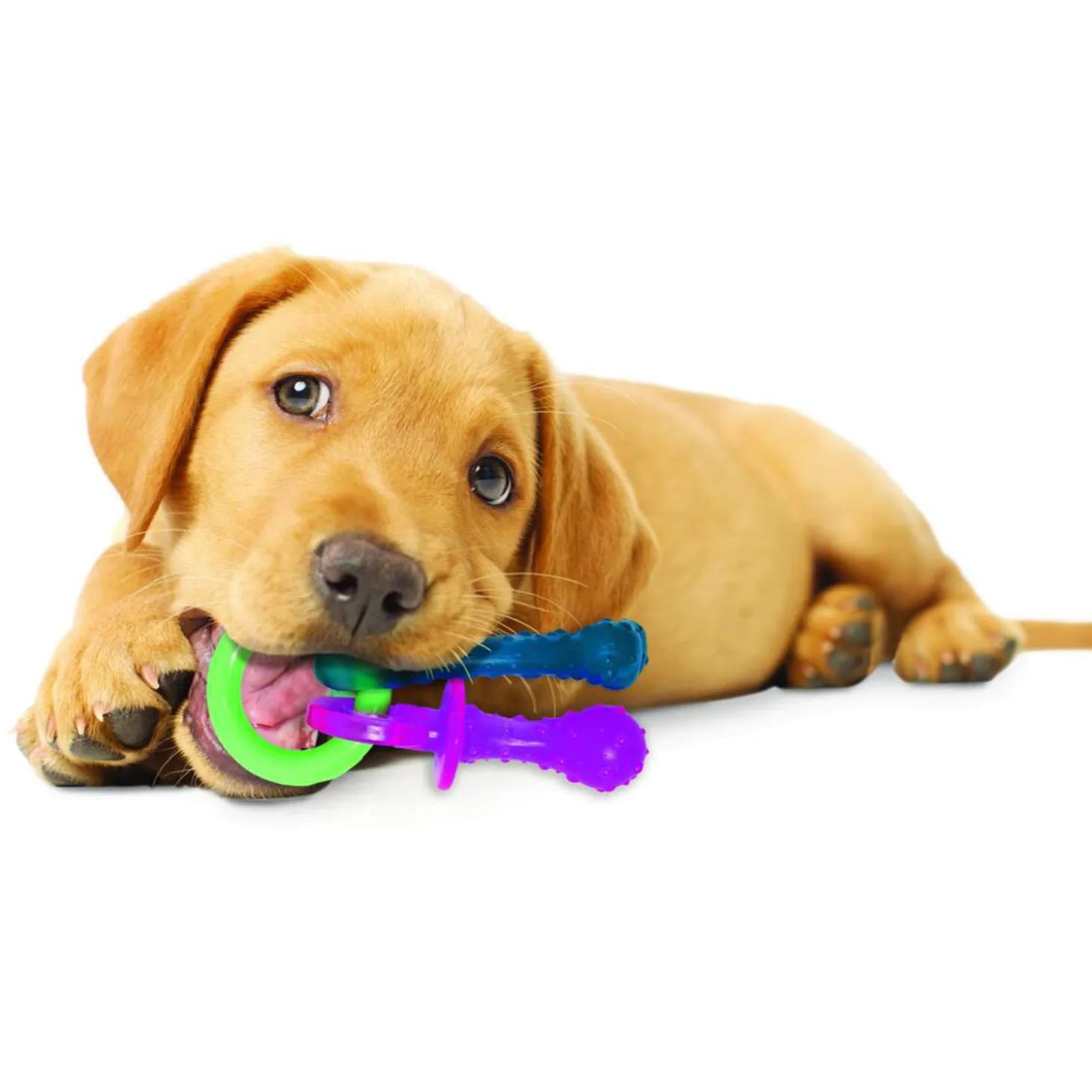 Puppy Chew Teething Pacifier Dog Toy