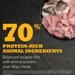 Puppy Recipe Dog Food