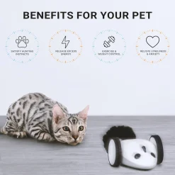 Purechase Smart Cat Toy