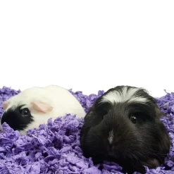 Purple Small Pet Bedding