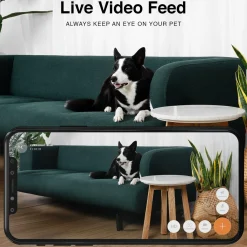 Purrsight Mini HD Pet Camera