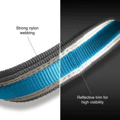 Quantum 1in Blue Dog Leash