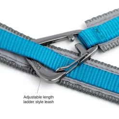 Quantum 1in Blue Dog Leash