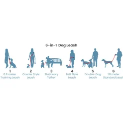 Quantum 1in Blue Dog Leash