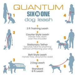 Quantum 1in Orange Dog Leash