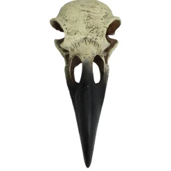 Raven Skull