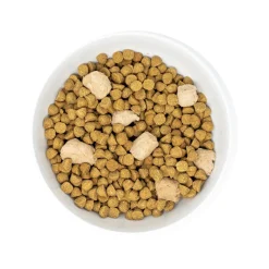 Raw Blend Red Meat Small Breed Recipe Dog Food