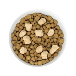 Raw Blend Wholesome Grain Red Meat with Pumpkin & Quinoa Recipe Dog Food