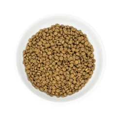 Raw Coated Cage Free Chicken Recipe Cat Food