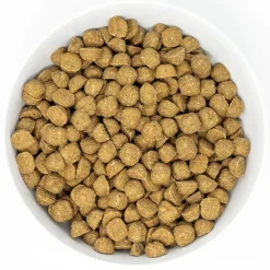 Raw Coated Wholesome Grain Chicken Recipe Dog Food